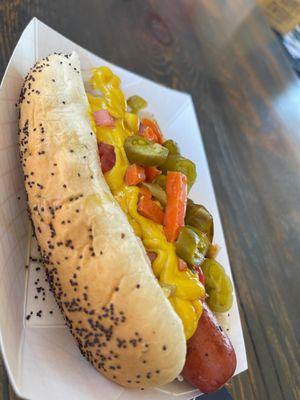 Grilled hot dog with girdinara mustard onions and tomatoes