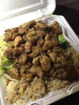 Teriyaki Chicken