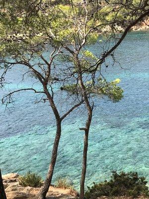 Les calanques of The Mediterranean. South of France