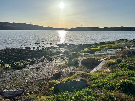 Matthew Turner Shipyard Park