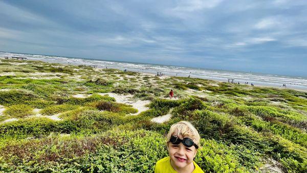 On top of the highest point of dunes