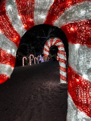 Walk through candy cane lane