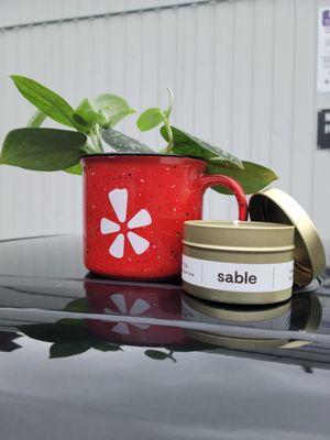 Satin pothos and Sable candle.