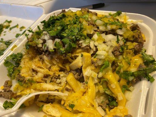 Carne asada fries