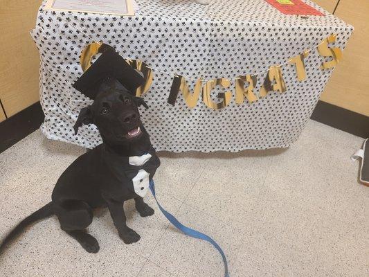 Puppy class graduation