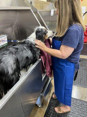 We are so happy that the Arroyo Grande Lemos has self serve dog wash. Our Aussie Charlie is loving his bath