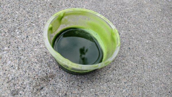 Wheatgrass Juice