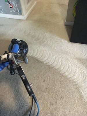 Haley's Comet Carpet Cleaning