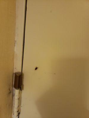 Roach that greeted us on our way out