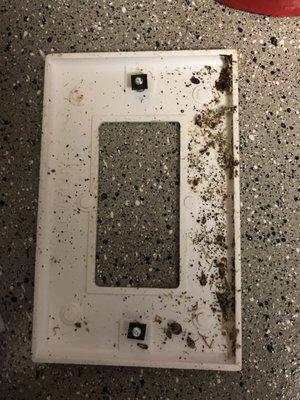 Maintenance switched out this kitchen outlet because it wasn't working, and this is what was found behind it.