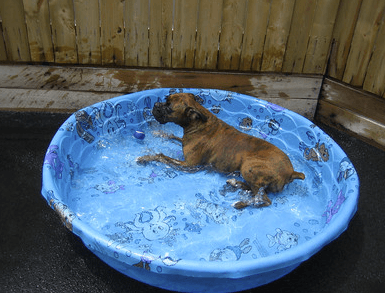 Chilling in the pool