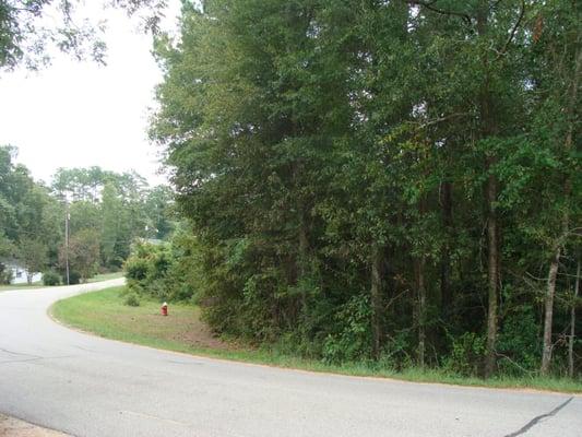 2.56 Acres for sale in Town of Edgefield. Asking $20,000.