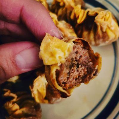 Beef Teriyaki Dumplings