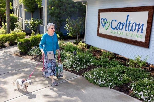 Carlton Concord's 55+ apartment community is conveniently located near Todos Santos Plaza in Downtown Concord.