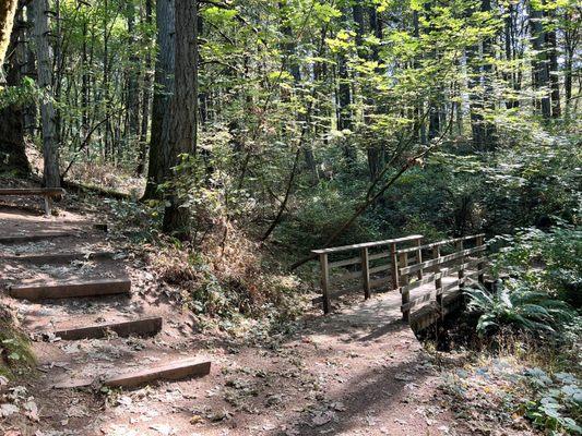 Jenkins Estate - unpaved perimeter trail