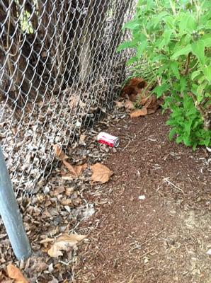 trash by the fences