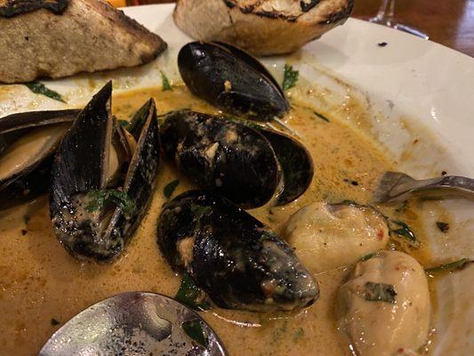 Mussels in cocoanut cream broth-plump and delicious!