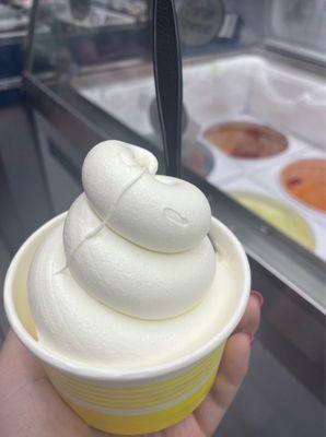 Vanilla Frozen Custard