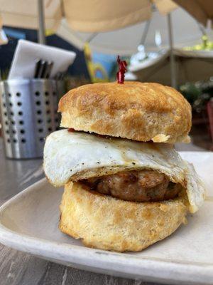 The Biscuit Sandwich