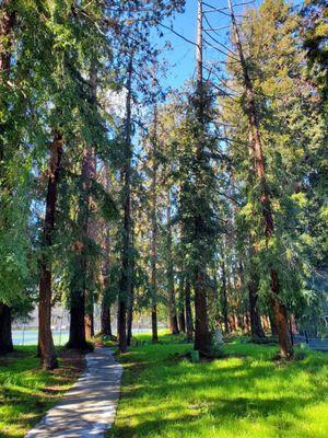 A path to tennis courts