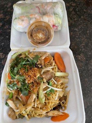 Yummy 2. Spicy Chow-Mein and 1. Fresh Salad Rolls