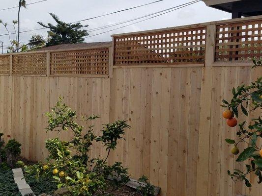 Cedar Fence Lattice 7' H