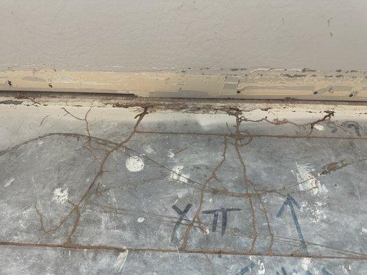 Termites tubes between stem wall and foundation