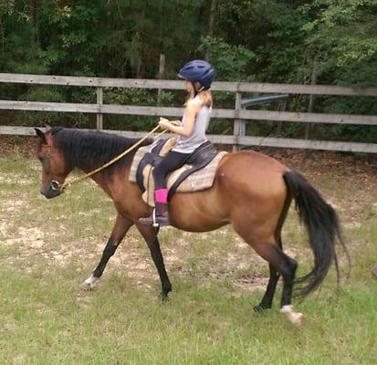 Pippa on Sparky