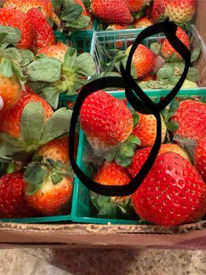 MOLD ON STRAWBERRIES