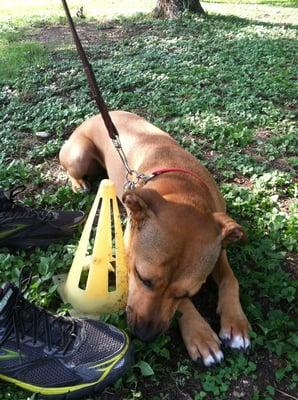 Arya just chillin' and not paying attention in class.