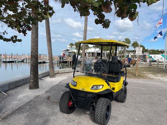 ICON Golf Cart