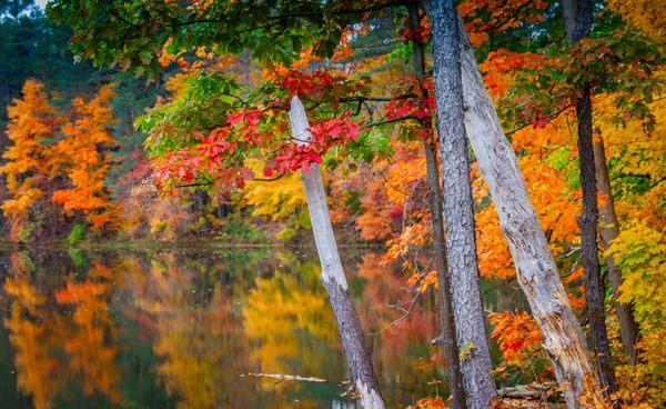 Autumn in Sherburne NY