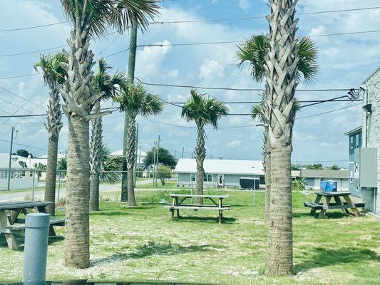 Picnic tables area