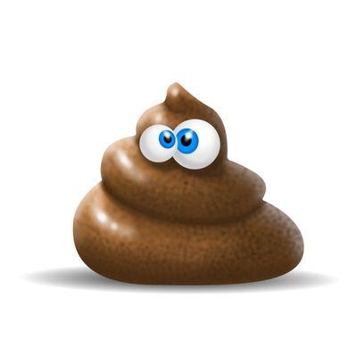 The key to health is to have a healthy poop! I can help!