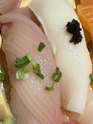 Yellowtail