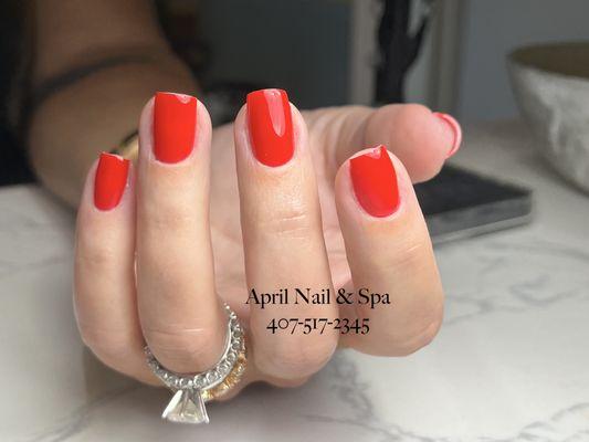 Rich Color---April Nail & Spa (Credit to Mary)