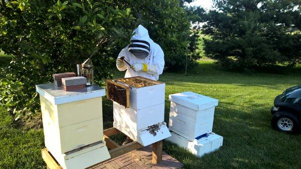 Largest Selection of Beekeeping Supplies in Huntington County