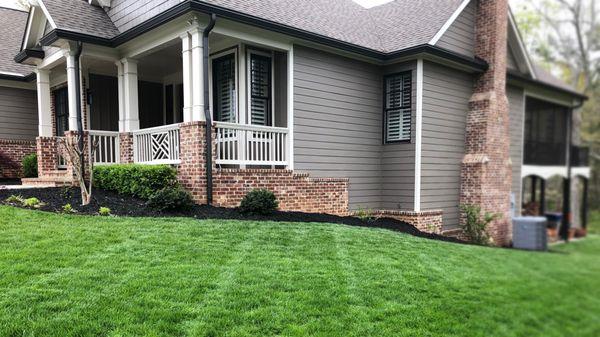 Zoysia grass after treatments and maintenance.