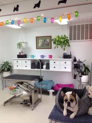 Barks & Bubbles Grooming Salon