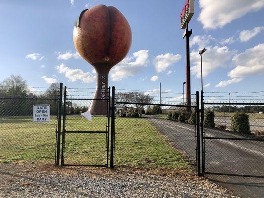 Peachoid Water Tower