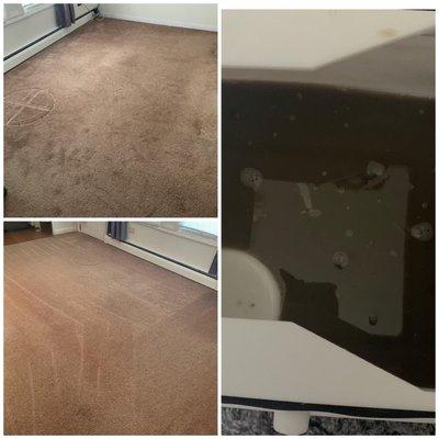 Carpet cleaning