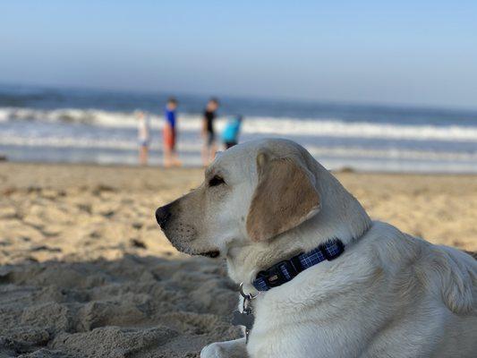 Carpinteria State Beach