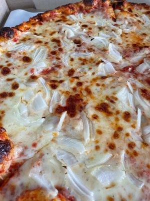 Extra cheese and onion pizza