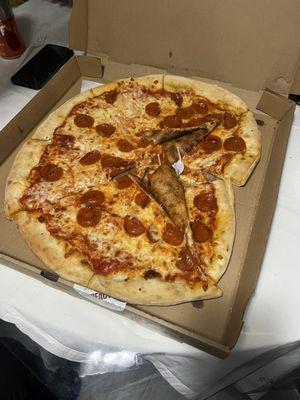 Worst pizza