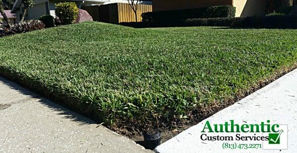 Lawn Maintenance / Landscaping