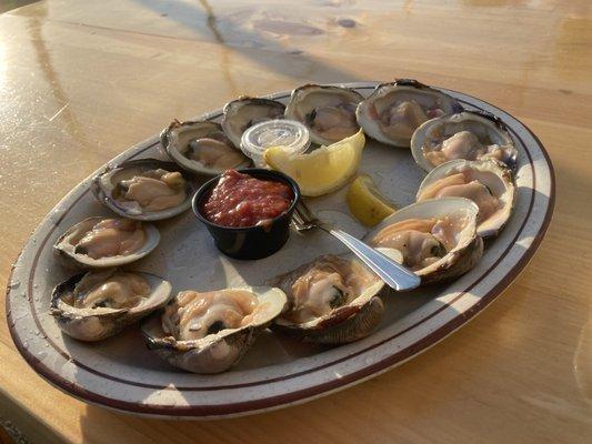 Dozen outstanding raw cherry stone clams served with cocktail sauce and horseradish