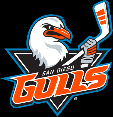 Team Physician for the San Diego Gulls