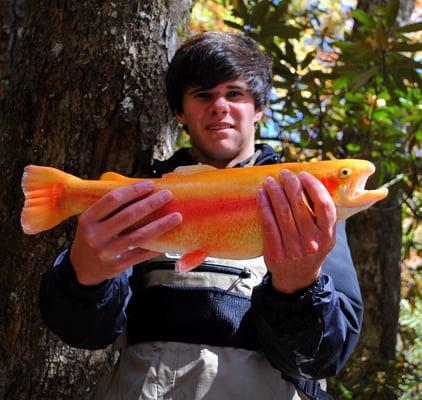 Palomino Trout (Golden Trout) caught and released in Cherokee North Carolina with the guides at Fly Fishing the Smokies