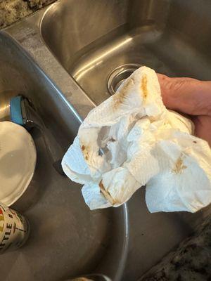 Kitchen sink right after cleaning staff left