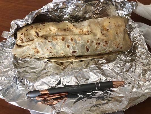 Carne asada burrito (standard pen used for scale)